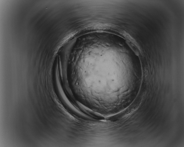 X0000052630581200507160133