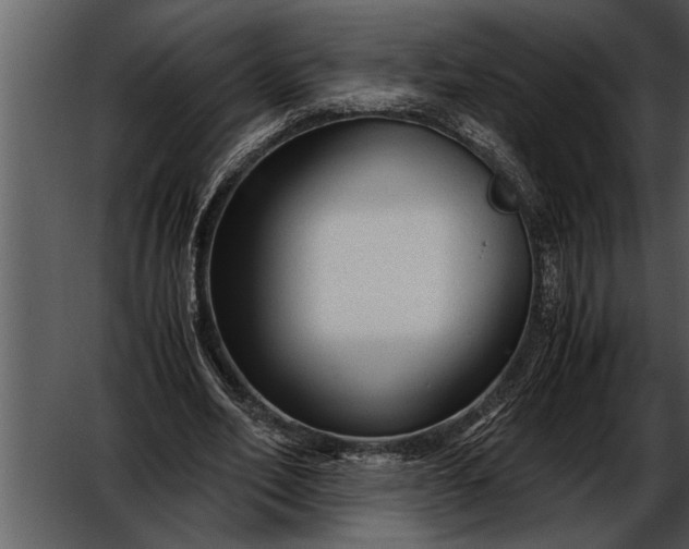 X0000052630582200507160133