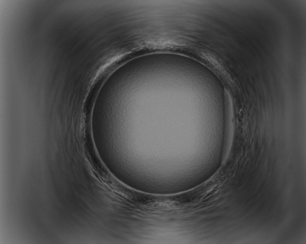 X0000052630583200507160133