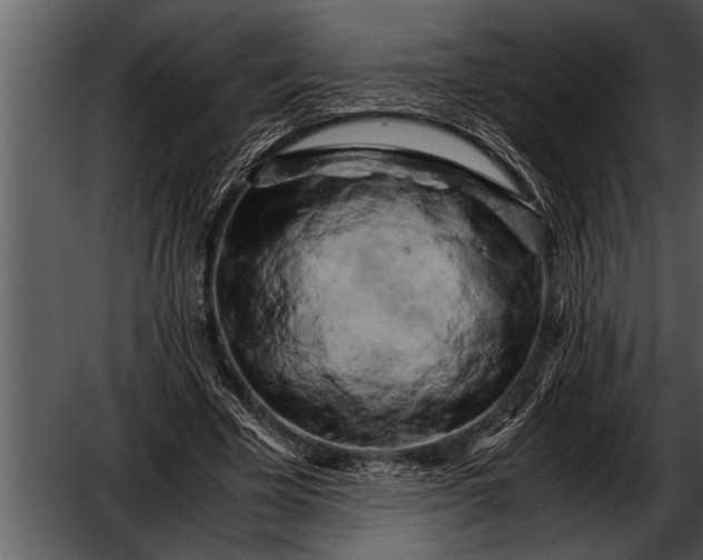 X0000052630585200507160133