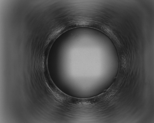 X0000052630586200507160133