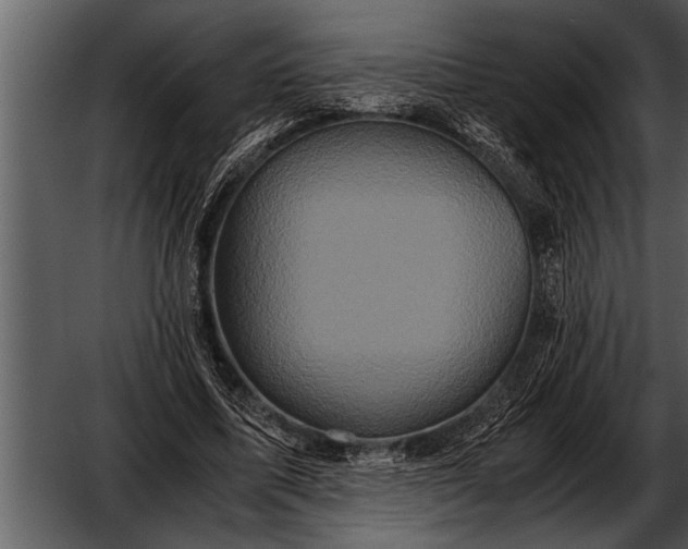 X0000052630587200507160133