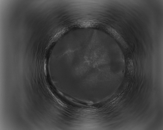 X0000052630590200507160133