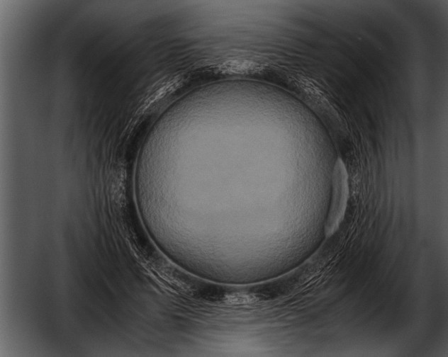 X0000052630591200507160133