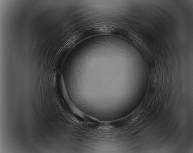 X0000052630595200507160133