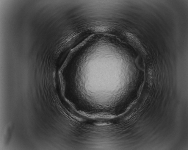 X0000052630596200507160133