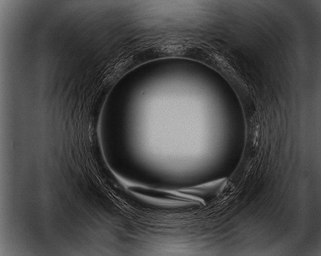 X0000052630597200507160133