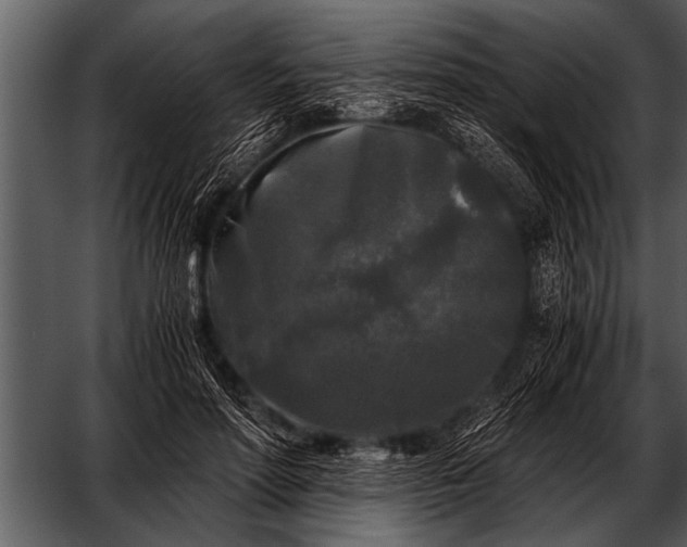 X0000052630598200507160132