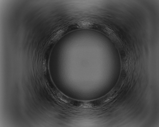 X0000052630599200507160132