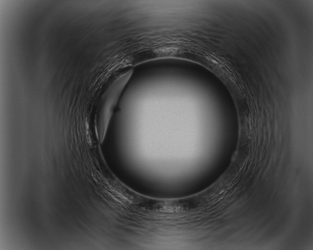 X0000052630601200507160132