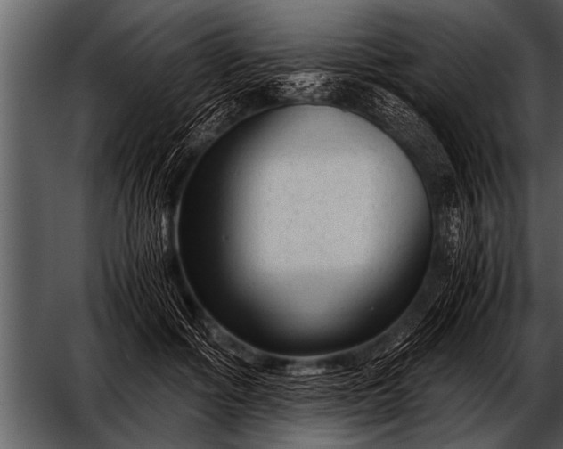 X0000052630602200507160132