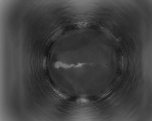 X0000052630610200507160132
