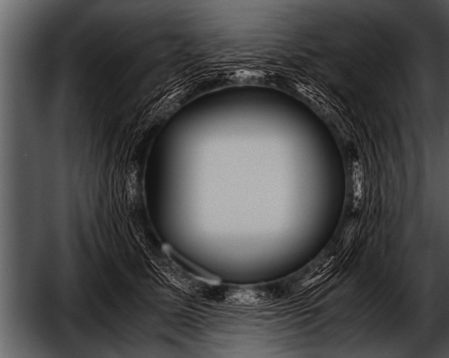 X0000052630611200507160132
