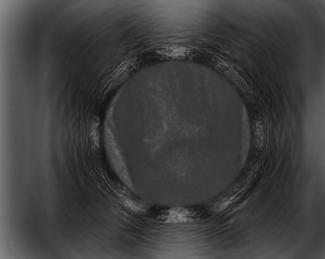 X0000052630612200507160132