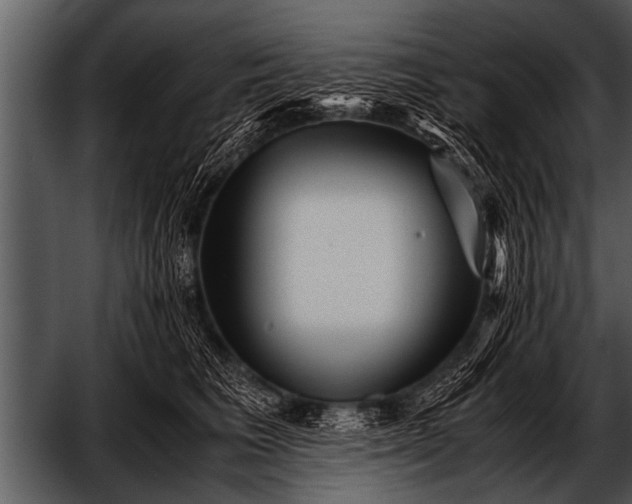 X0000052630613200507160132