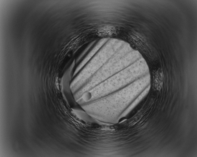 X0000052630616200507160132