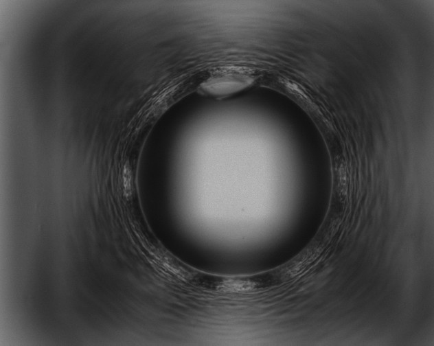 X0000052630617200507160132