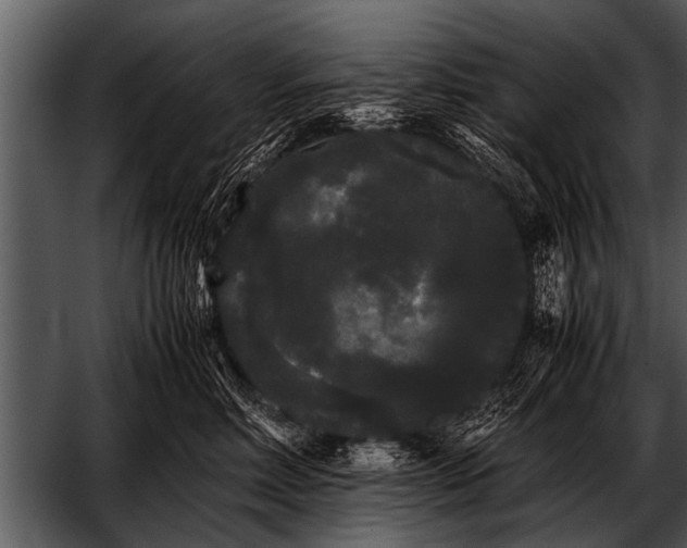 X0000052630618200507160132