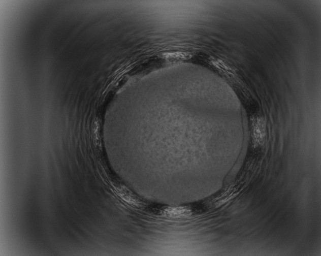 X0000052630619200507160132