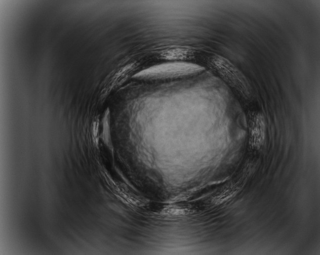 X0000052630620200507160132