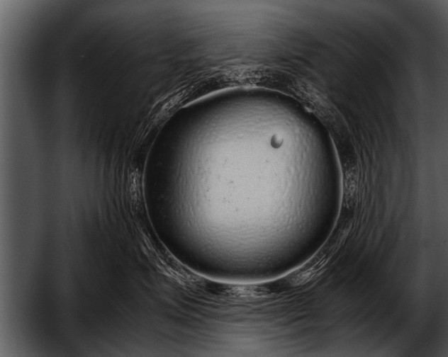 X0000052630623200507160132