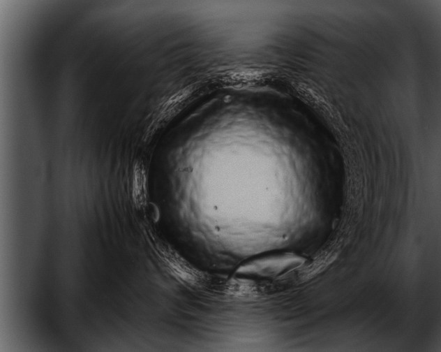 X0000052630624200507160132