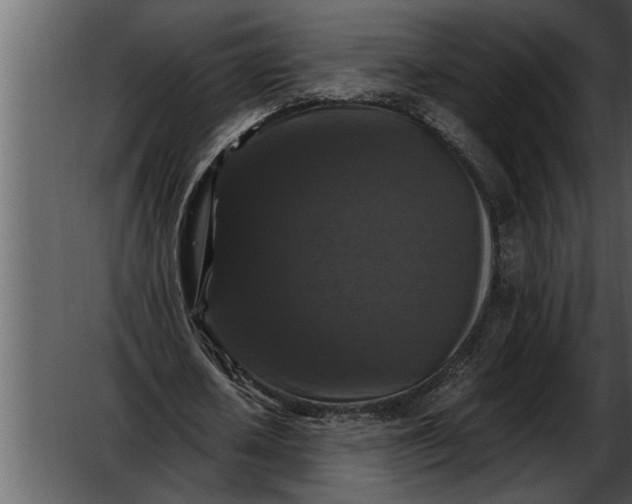 X0000052630626200507160131