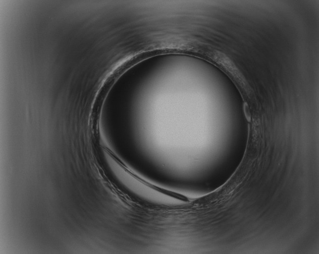 X0000052630628200507160131