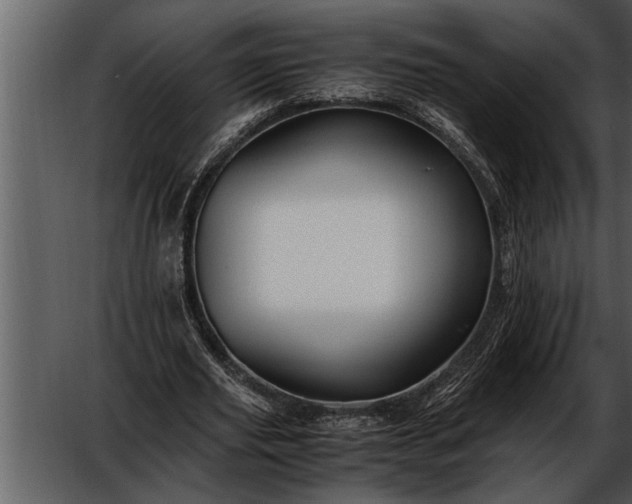 X0000052630629200507160131