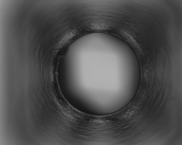 X0000052630635200507160131