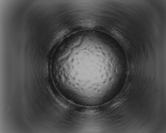 X0000052630638200507160131