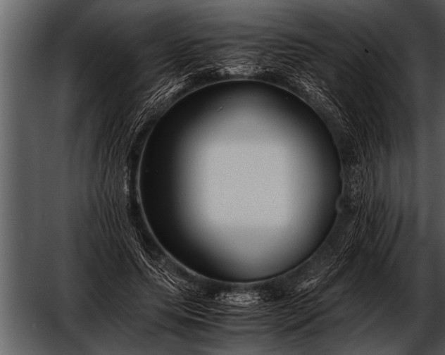 X0000052630639200507160131