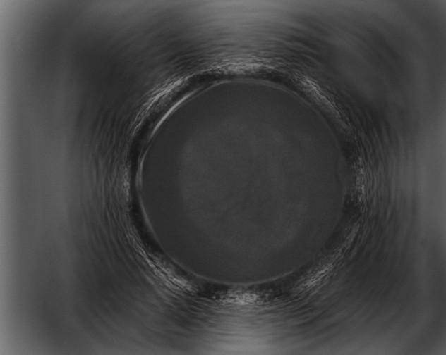 X0000052630640200507160131