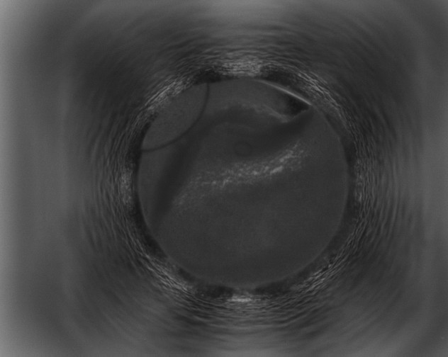 X0000052630641200507160131