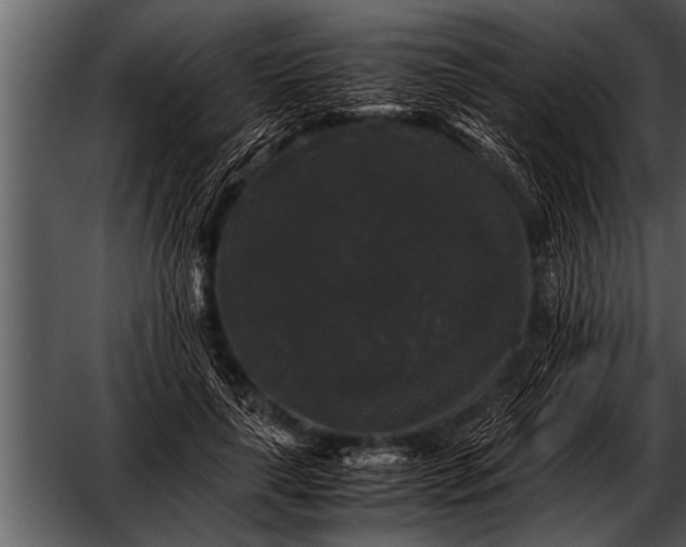 X0000052630643200507160132