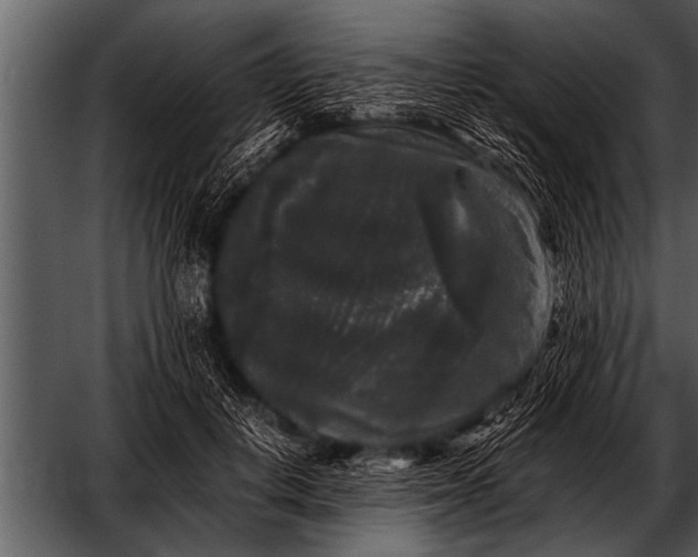 X0000052630648200507160132