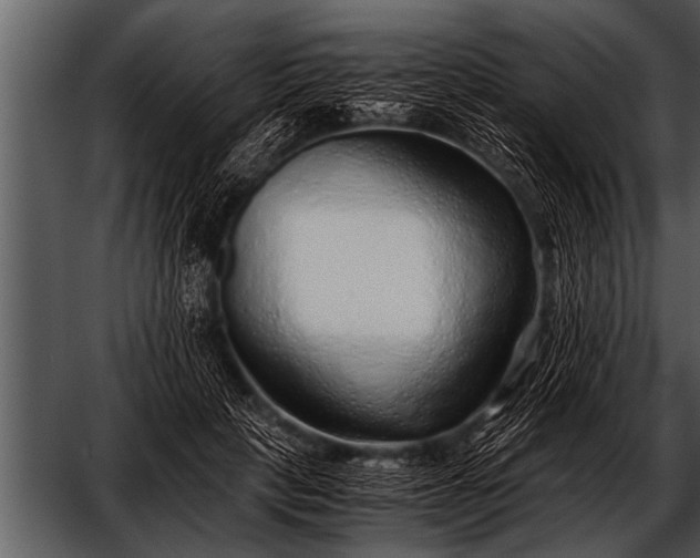 X0000052630649200507160132