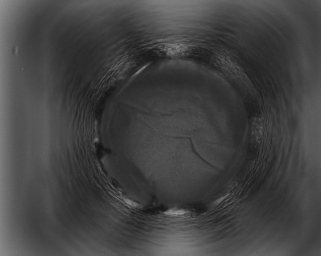 X0000052630650200507160132