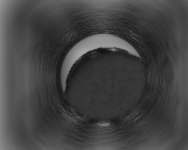 X0000052630651200507160132