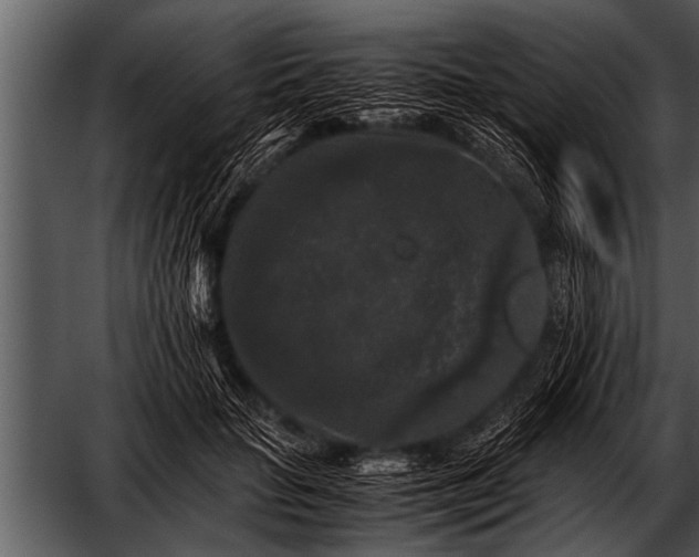 X0000052630653200507160132