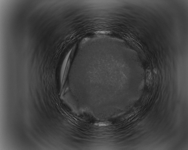 X0000052630655200507160132