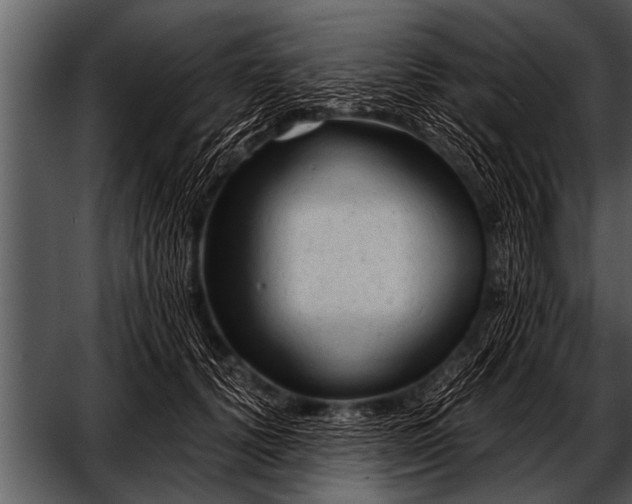 X0000052630656200507160132