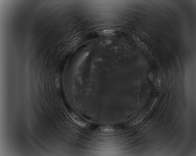 X0000052630658200507160132