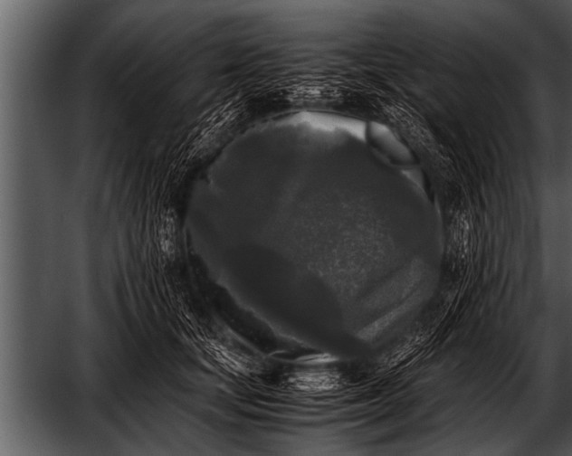 X0000052630659200507160132