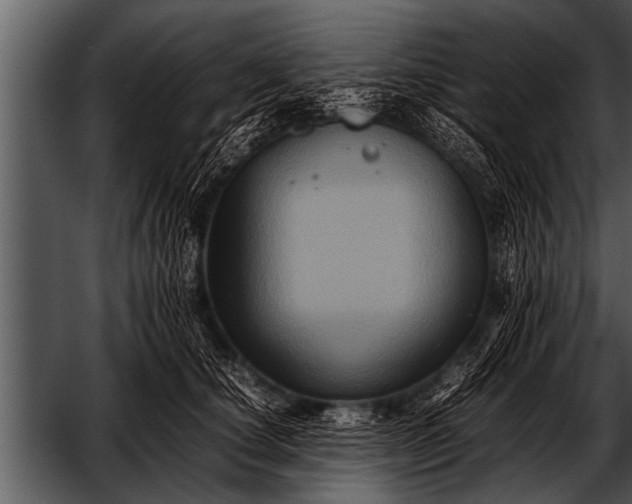 X0000052630660200507160132