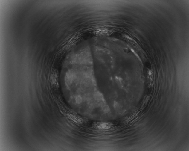 X0000052630663200507160132