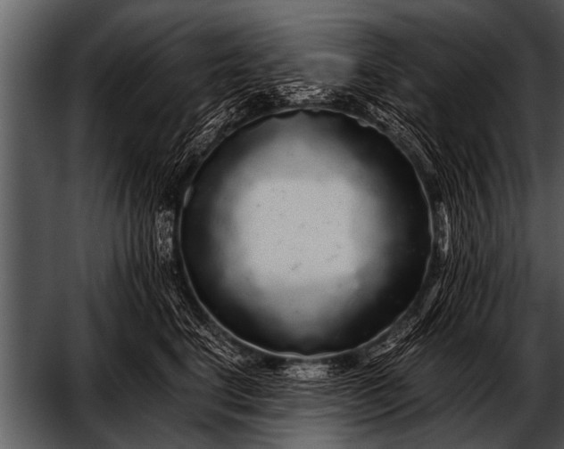X0000052630664200507160132