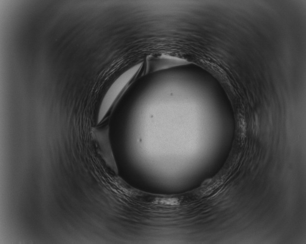 X0000052630665200507160132