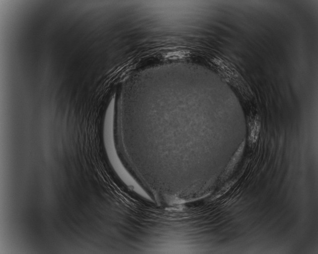 X0000052630666200507160132