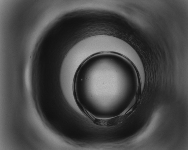 X0000052630671200507160132